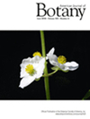 AMERICAN JOURNAL OF BOTANY雜志封面